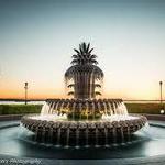 Famous Pineapple Fountain
