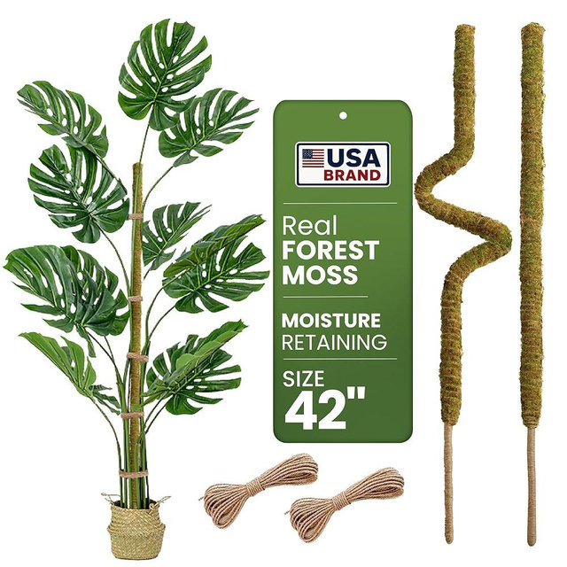 2 Pack 42'' Bendable Moss Pole Monstera Plant Support - Real Forest Moss for Climbing Indoor Plants - Stakes for Potted Climbers - Tall Sticks Indoor Trellis for Houseplants - Pot Accessories