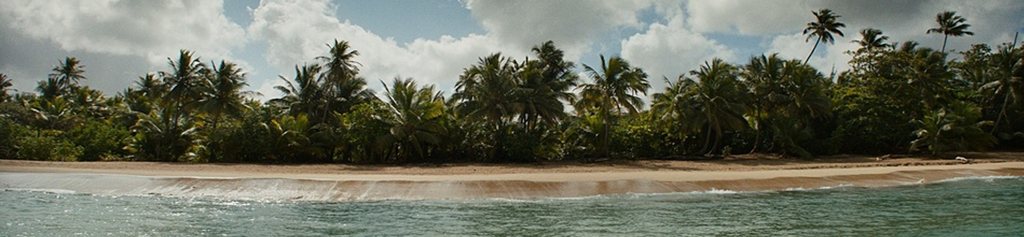 The Wedding Website of Manini Gupta and Jonathan Bellinger
