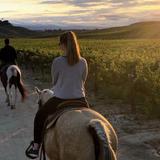 Wine Country Trails by Horseback