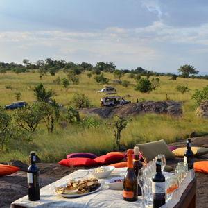Days 8-10: Tanzanian Safari