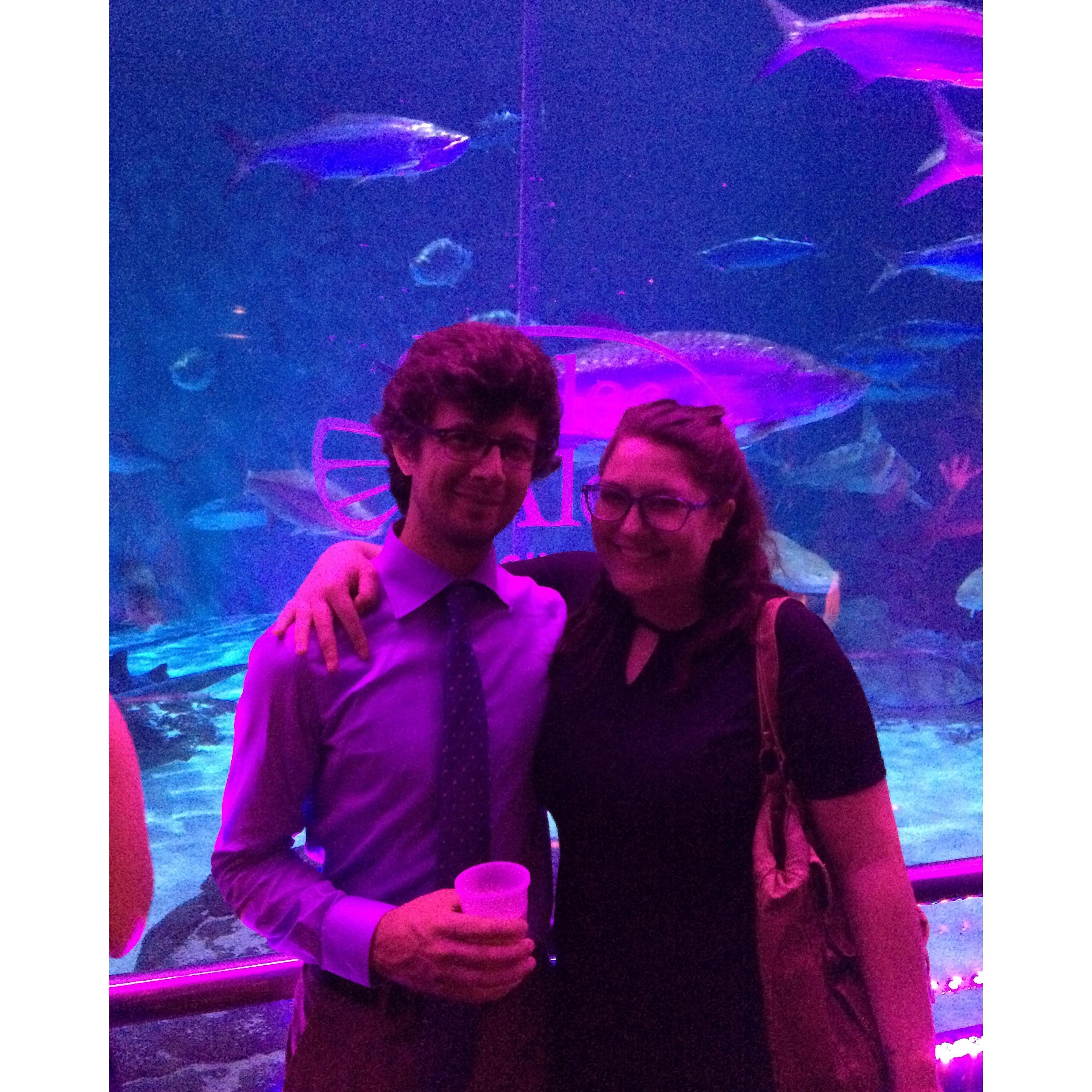 Scales & Ales at the aquarium