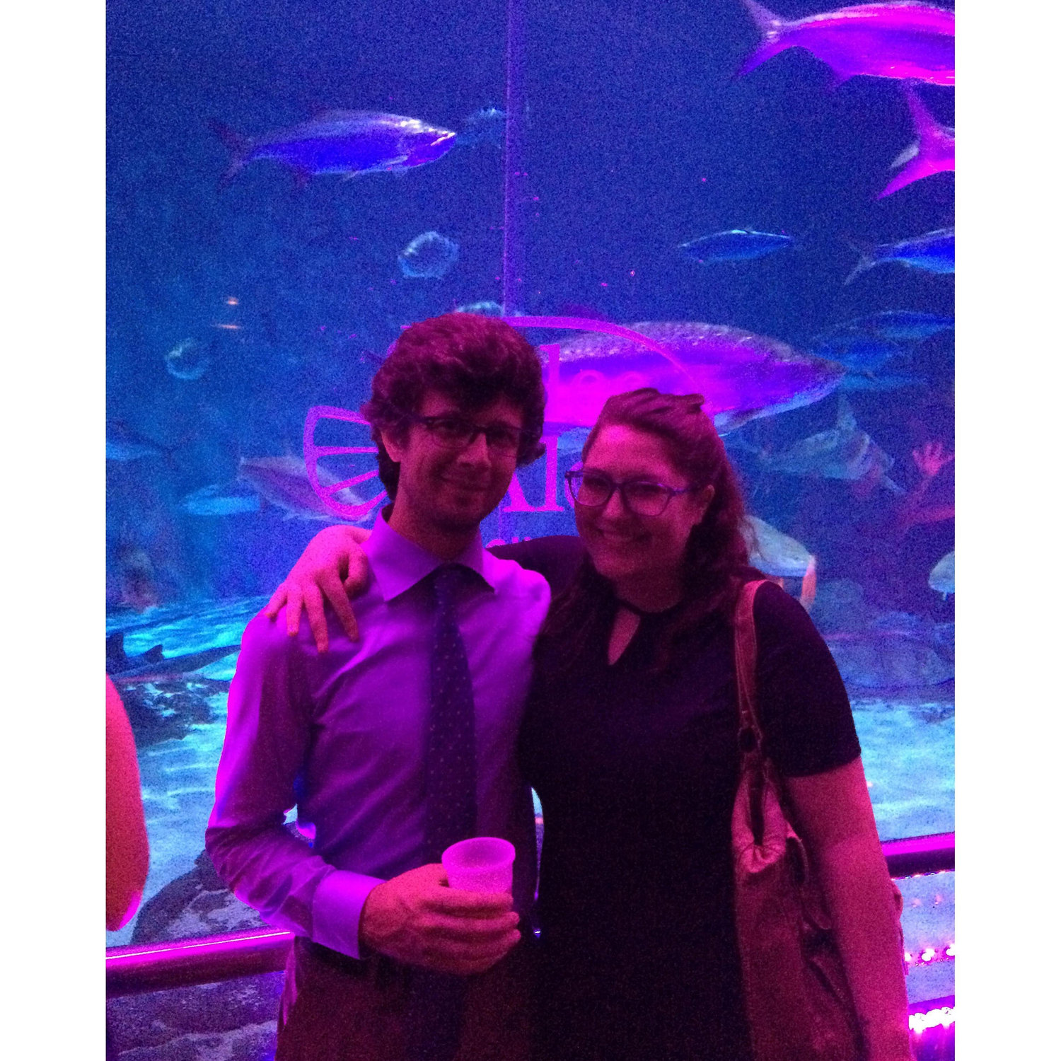 Scales & Ales at the aquarium