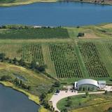 Saltwater Farm Vineyard