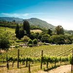 Sonoma