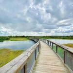 Sweetwater Wetlands Park