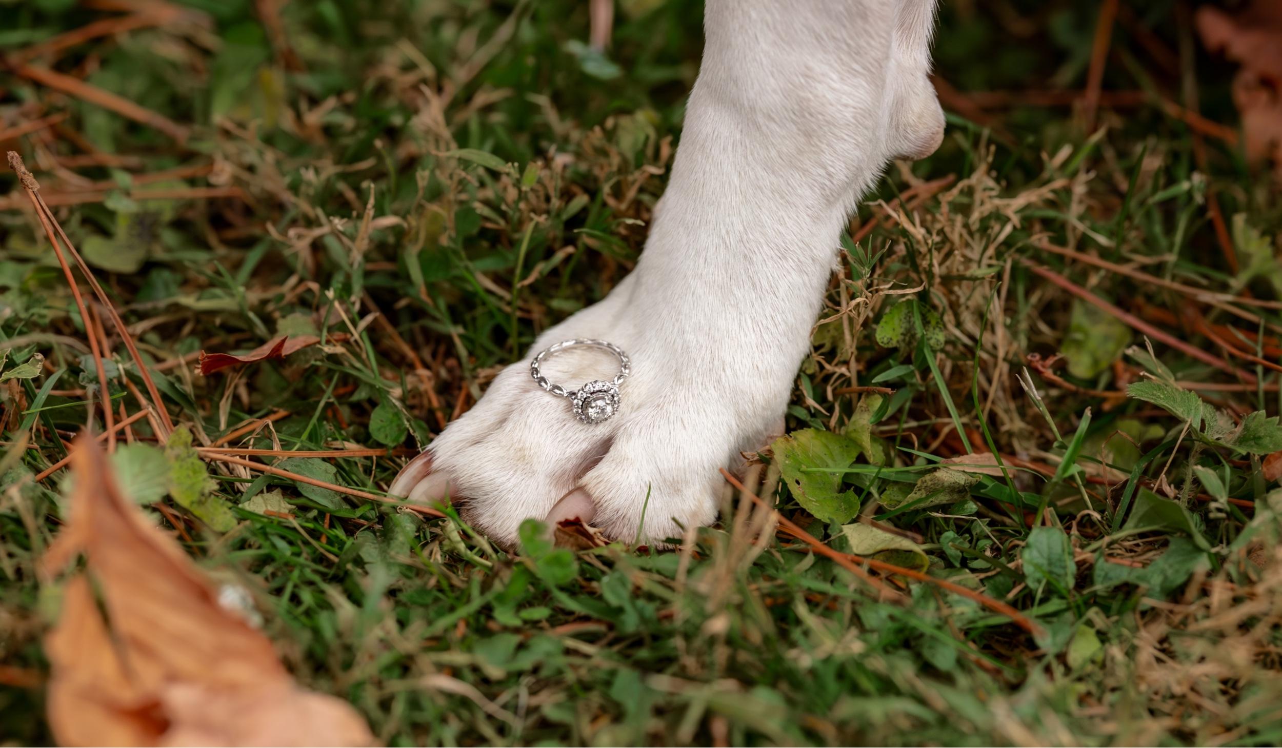 The Wedding Website of Madelynn Long and Chad Bivens