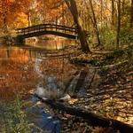 Firestone Metro Park-Tuscarawas Meadows Area