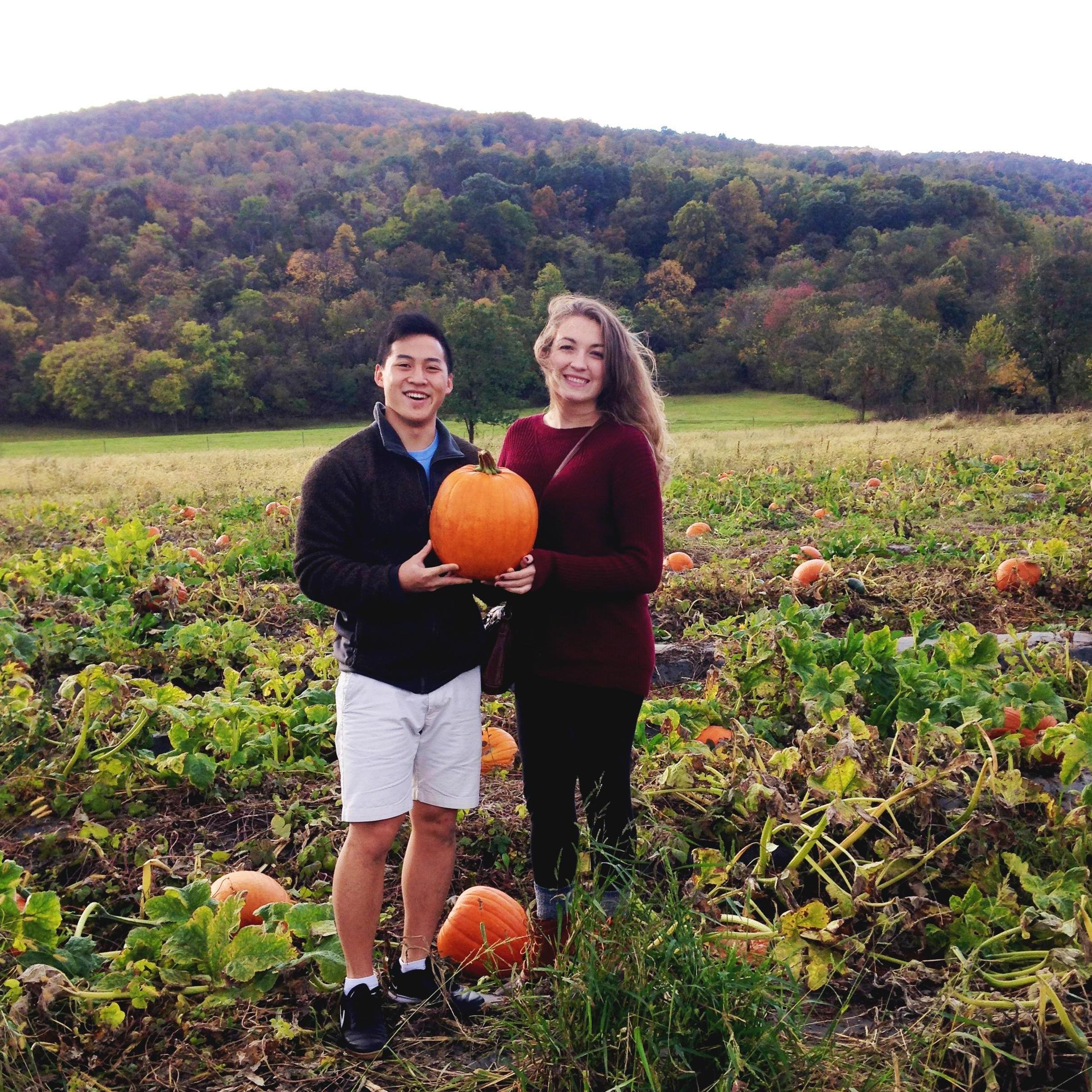 Pumpkin Patch-ing