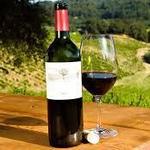 Alexander Valley Wineries