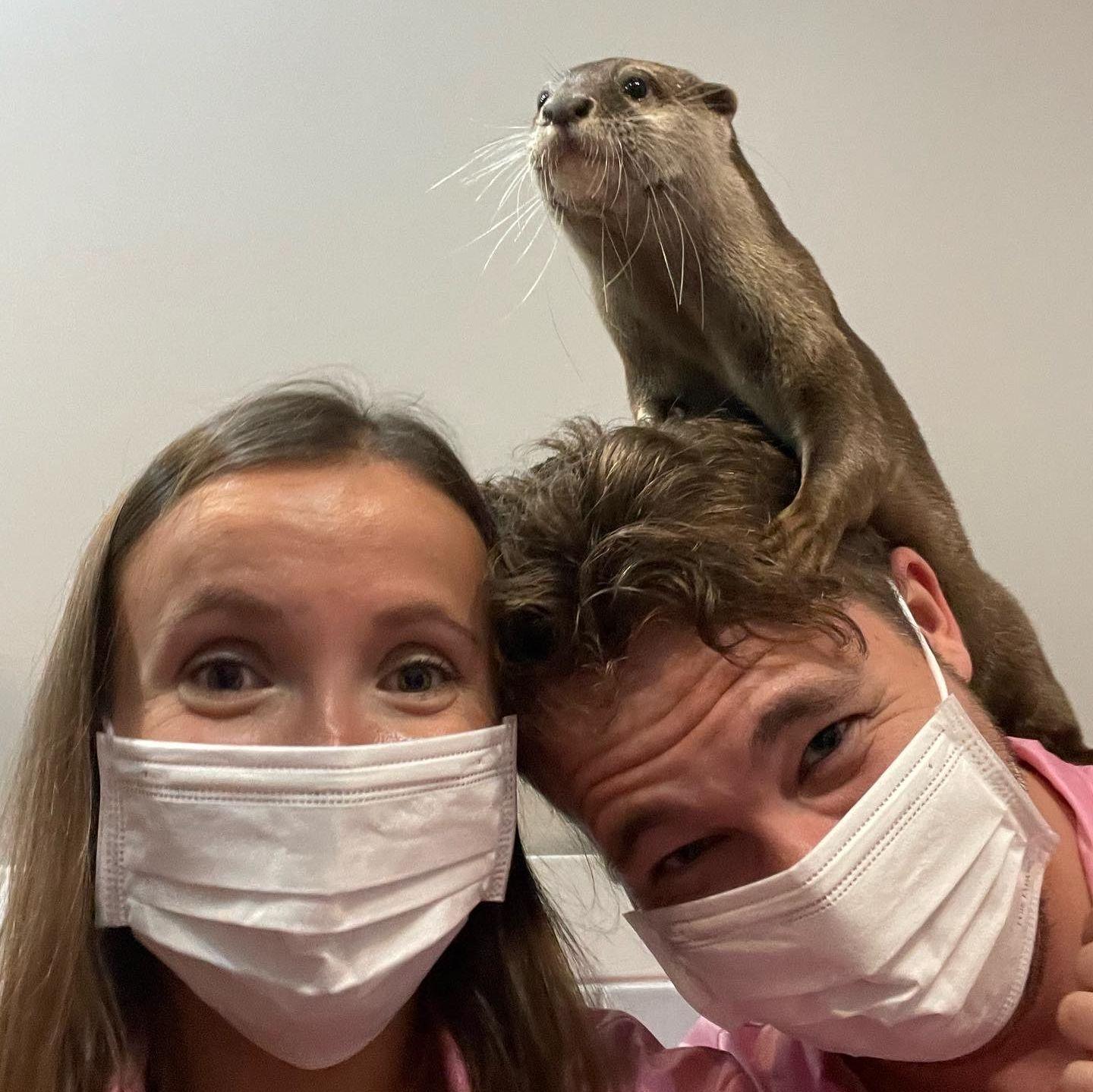One of our favorite animal encounters ever - Tokyo, Japan