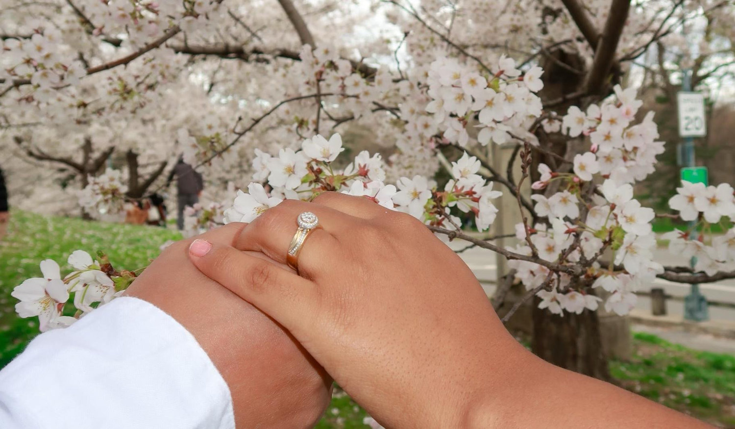 The Wedding Website of Yorgely Veras and Arismendy Lora