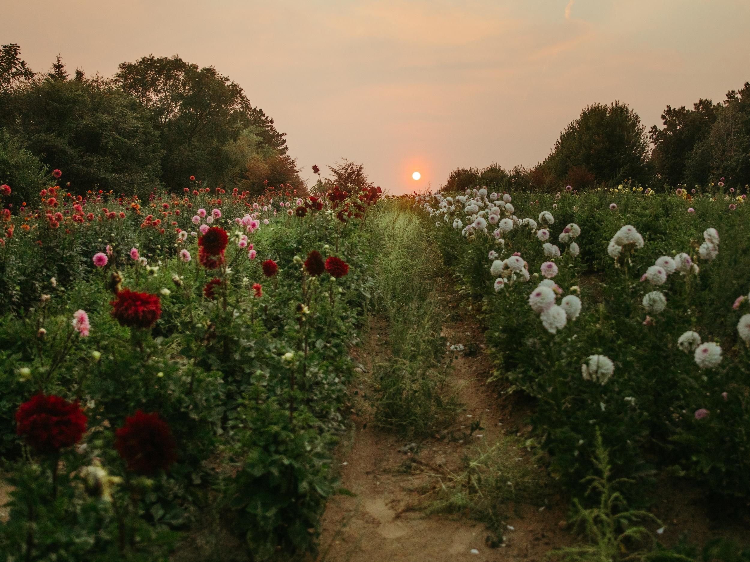 The Wedding Website of Melissa Kellogg and Phil LaCharite