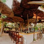 WILD Tulum