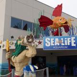 SEA LIFE Aquarium