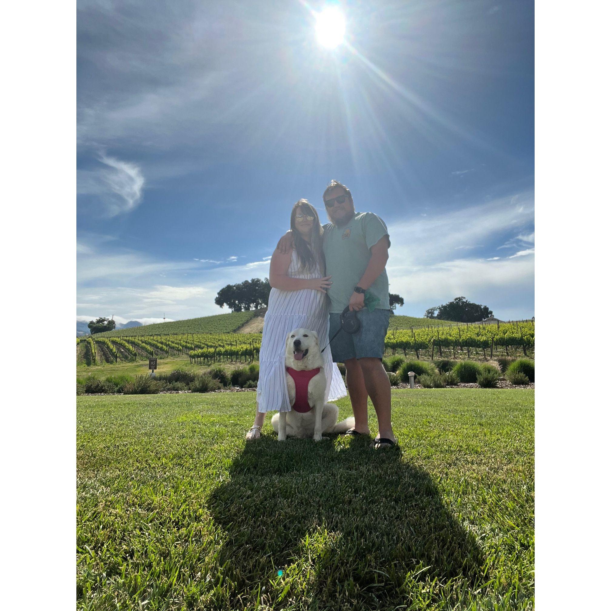 10 year anniversary trip to Paso Robles in 2023.