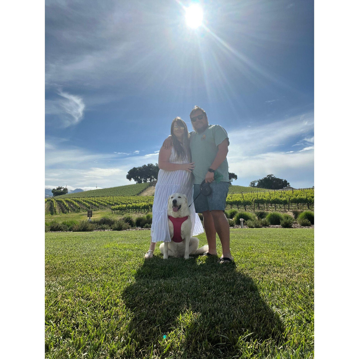 10 year anniversary trip to Paso Robles in 2023.