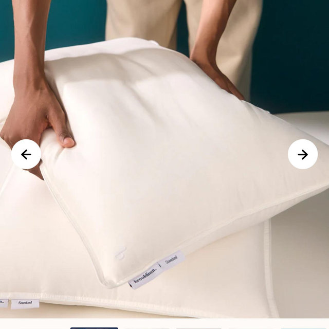 Set of 2 Down Alternative Pillow