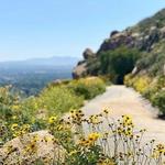 Mount Rubidoux Trail