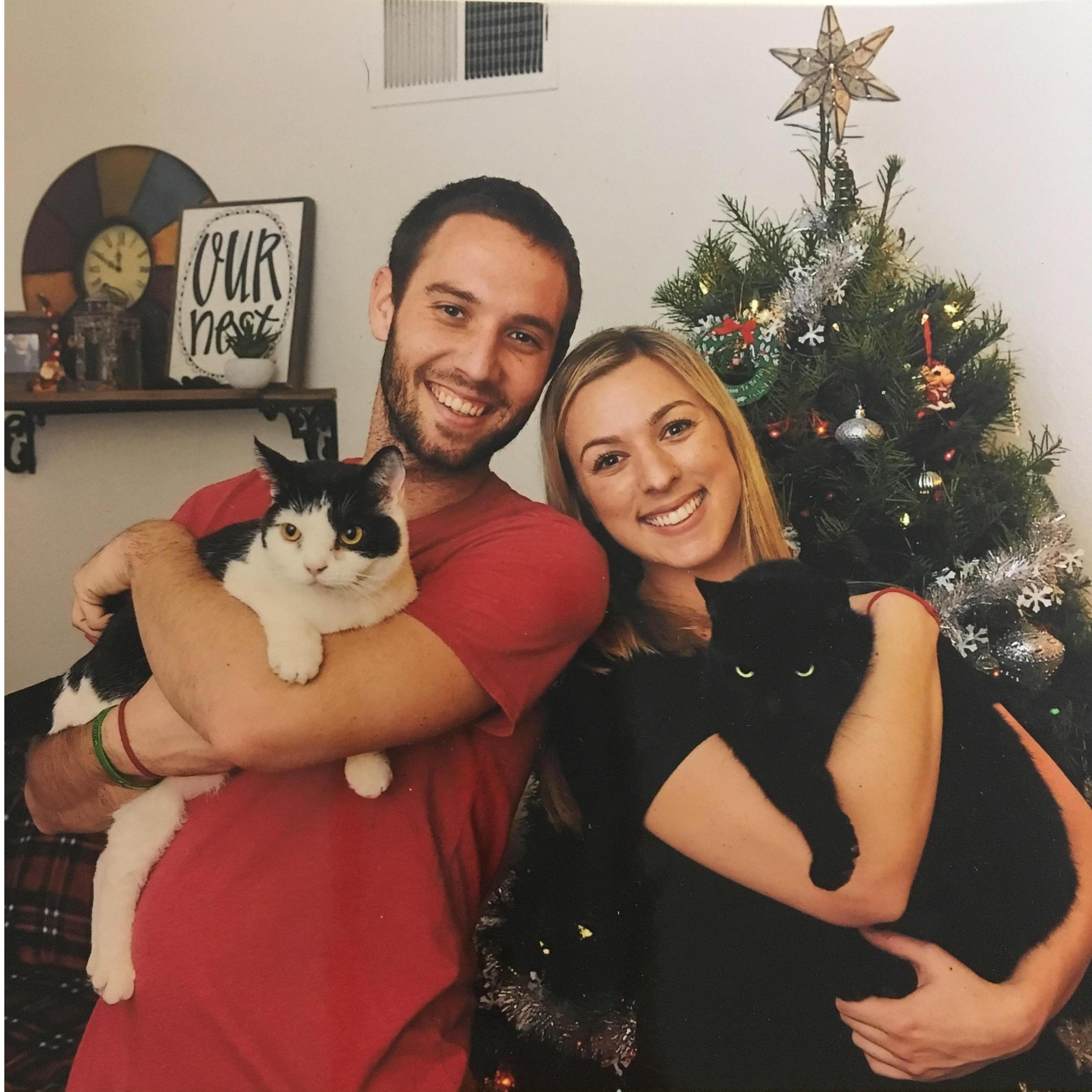 We had to take the cheesy Christmas cat photo. Meet Tippy and Ewok, our two fur babies.
