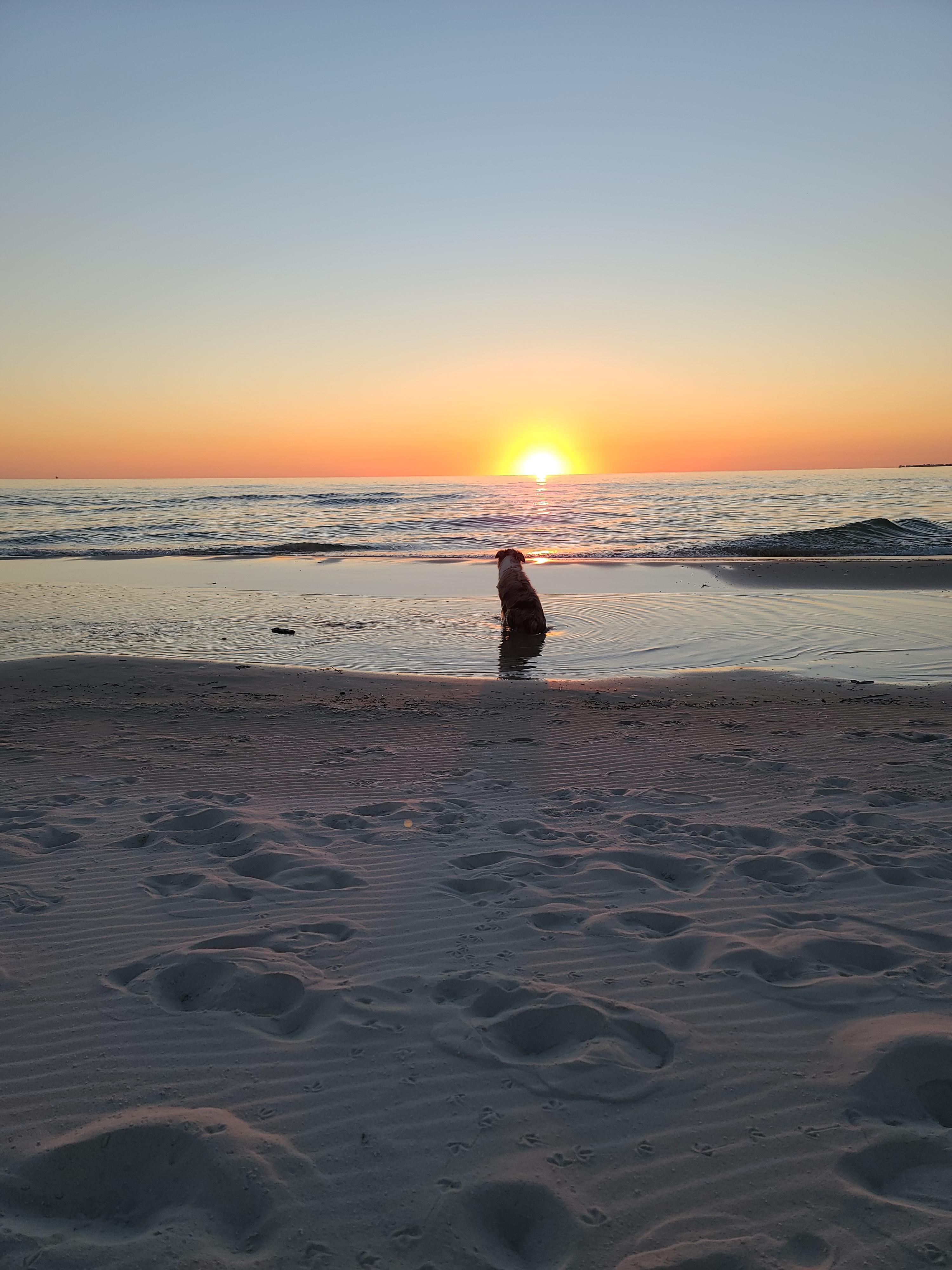 The Wedding Website of Deborah Strausbaugh and Timothy McClure