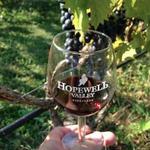 Hopewell Valley Vineyards