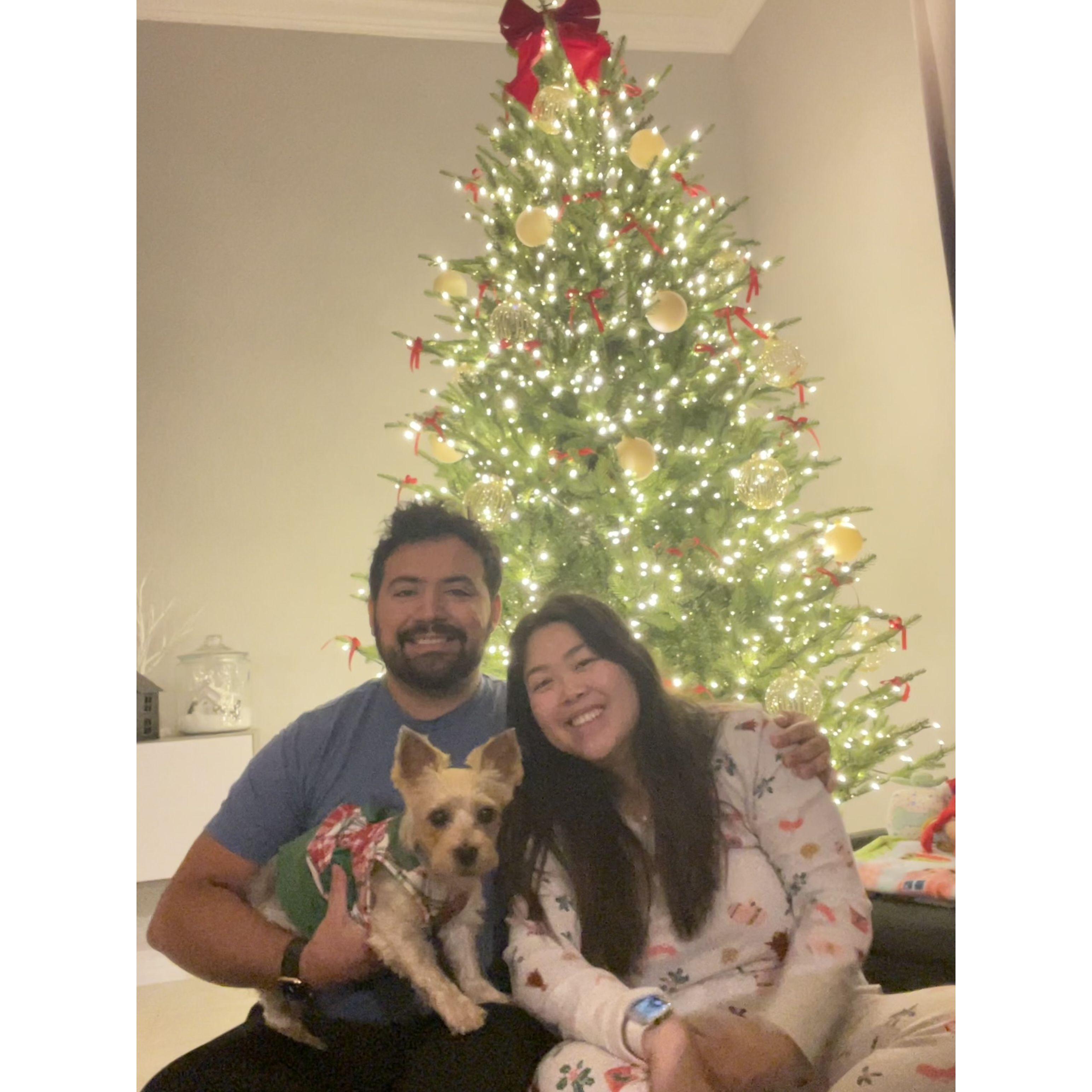 2024 family Christmas photo!