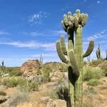 McDowell Sonoran Preserve