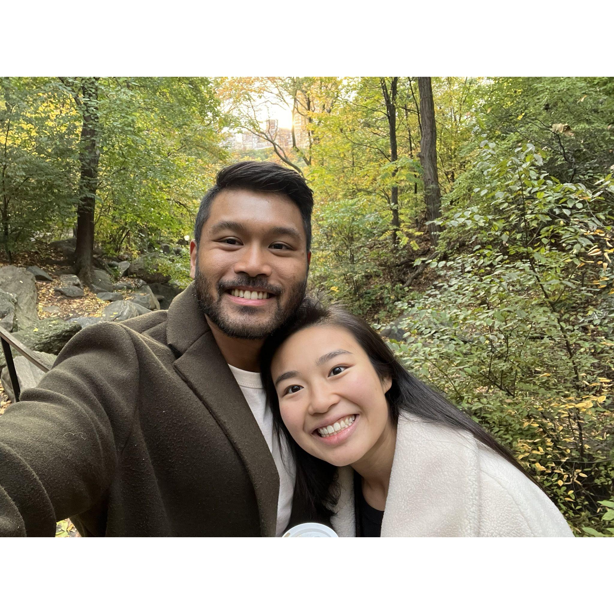 Central Park foliage