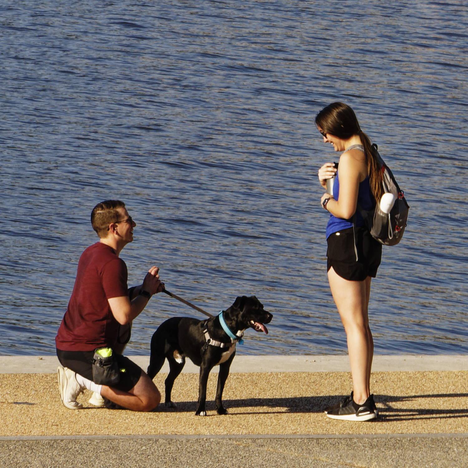 The proposal - Dallas was distracted by a squirrel 