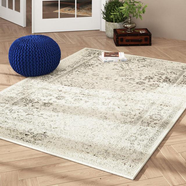 Aiken Oriental Ivory/Sliver Area Rug