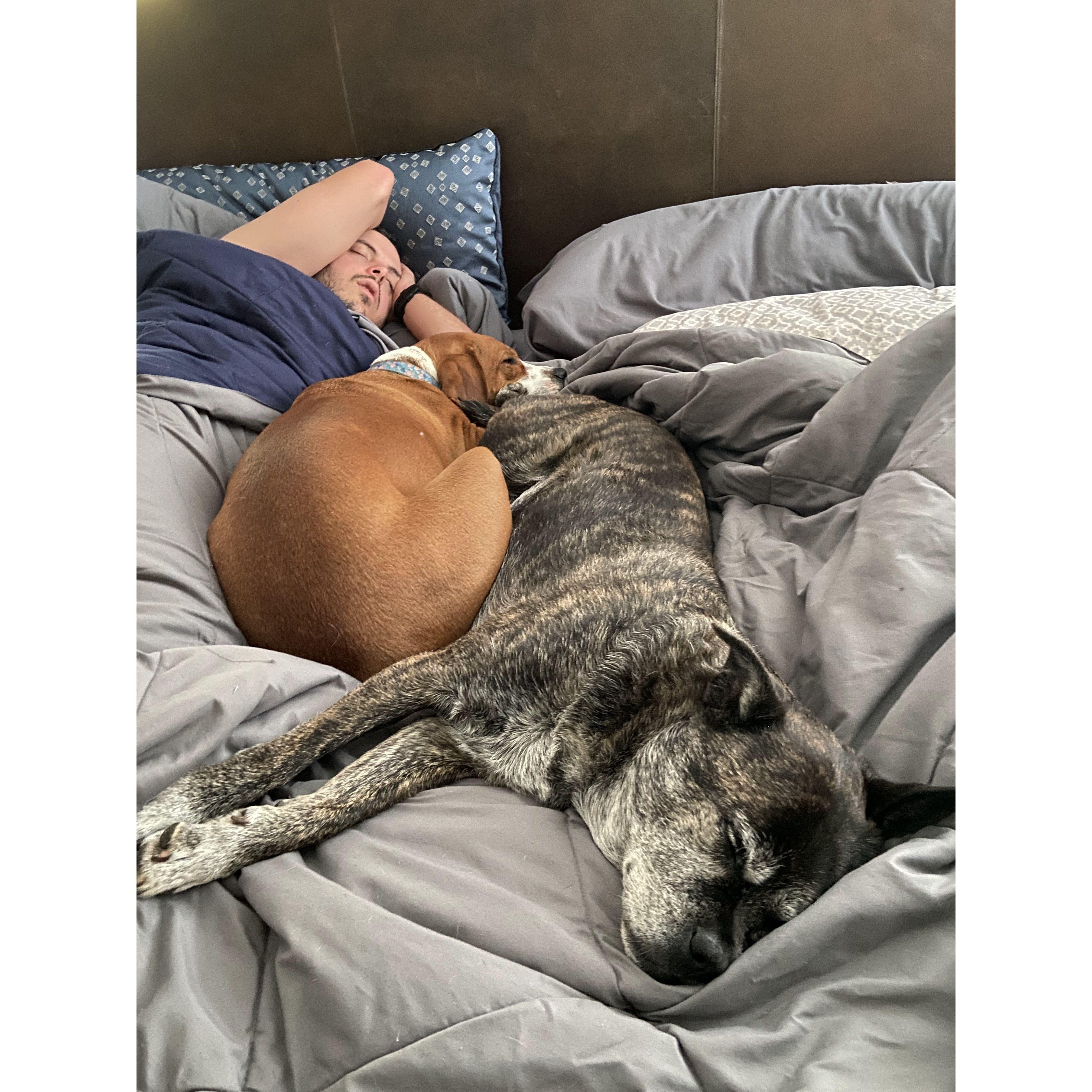 Bo and the girls sleeping in