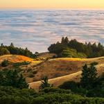 Take a Hike on Mt. Tam