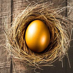 Nest Egg Fund :)