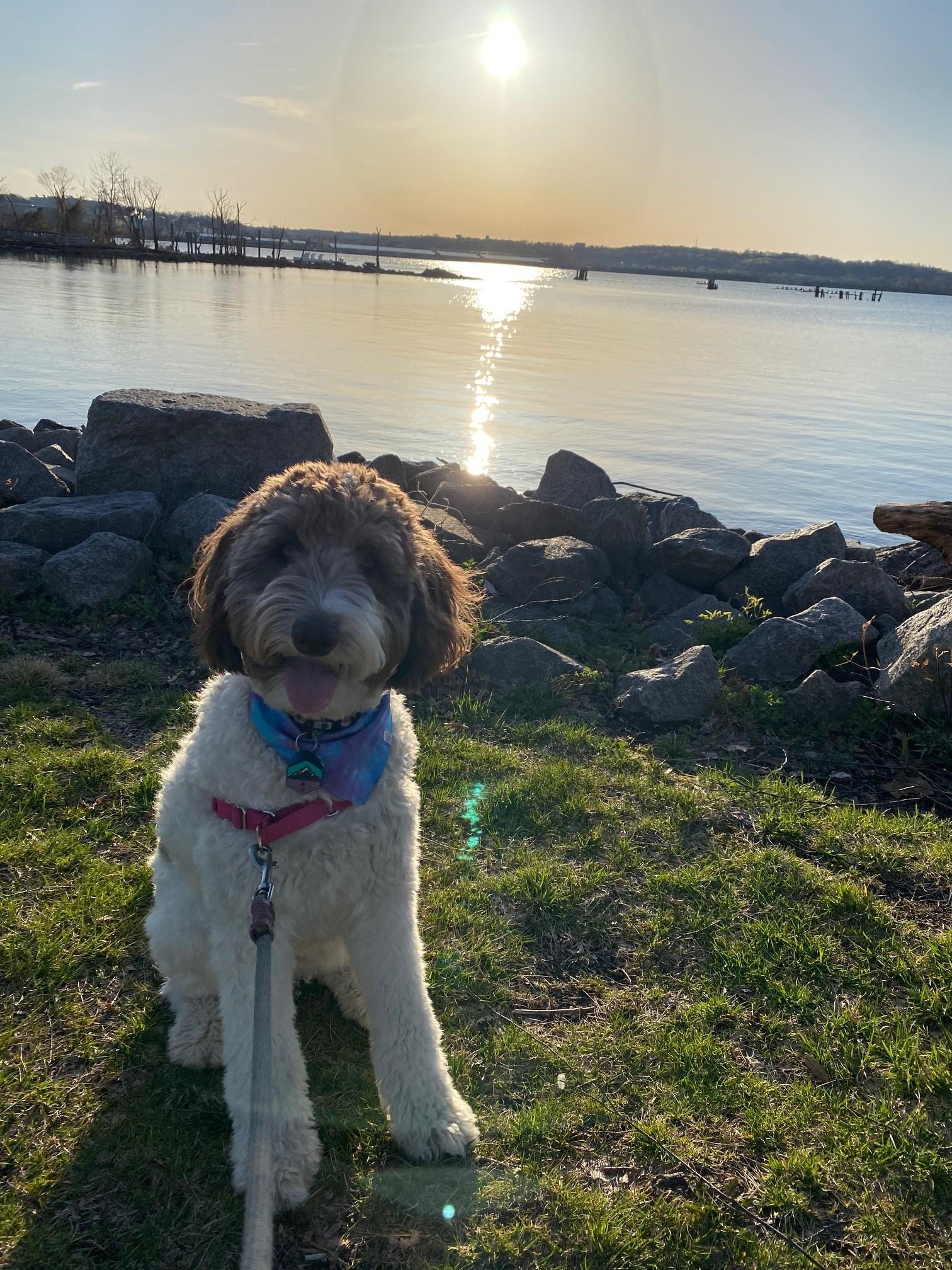 The Wedding Website of Lisa De Koker and Collin Lohr