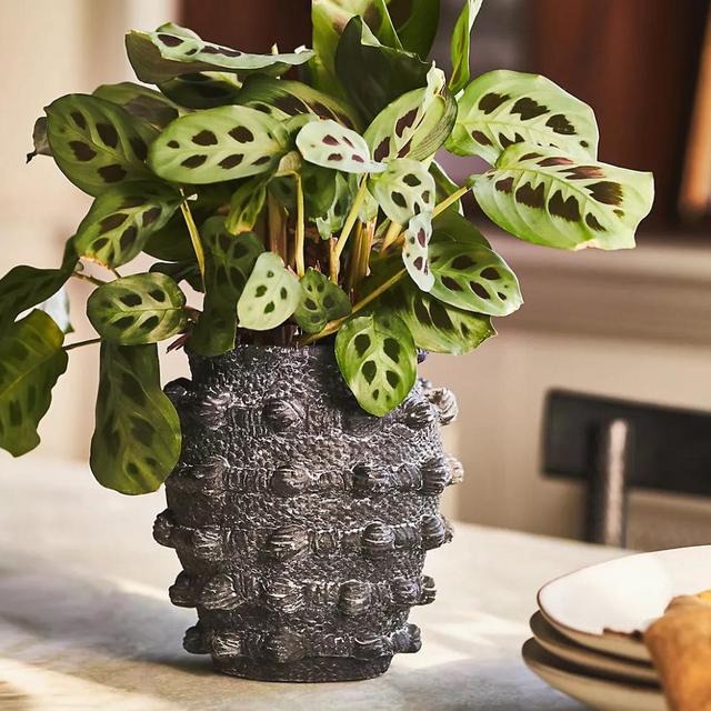 Minka Textured Pot S