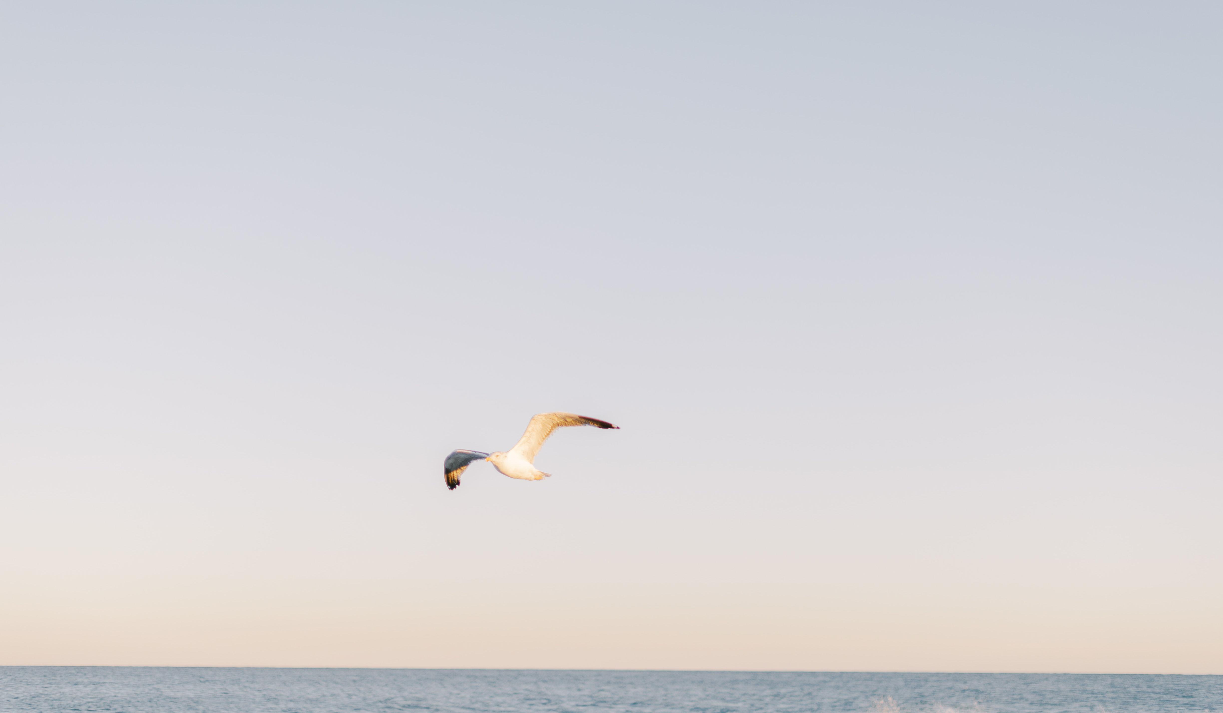 Footer image