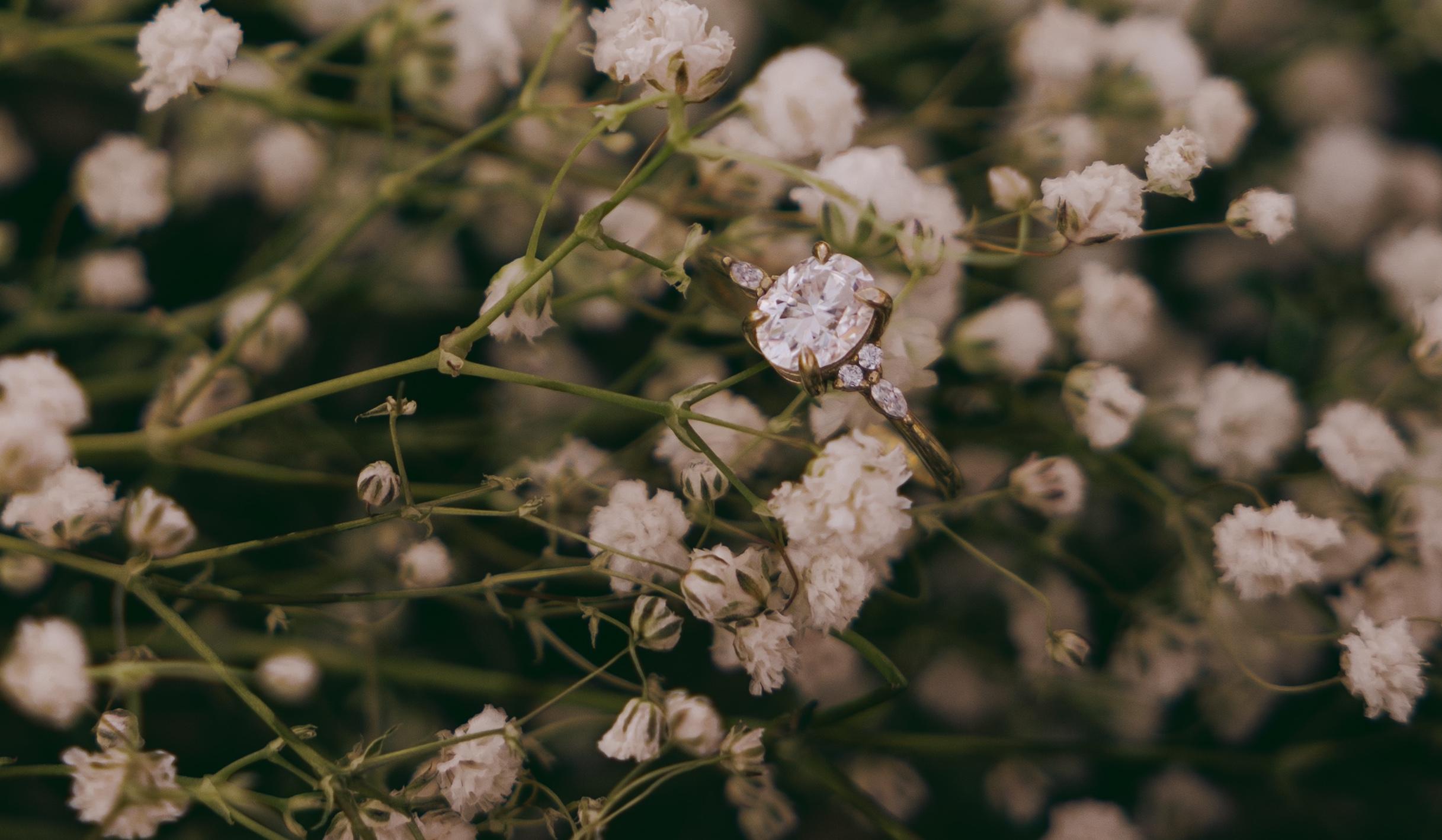 The Wedding Website of Kelsey Moore and Thomas Cleary