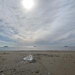 Singing Beach