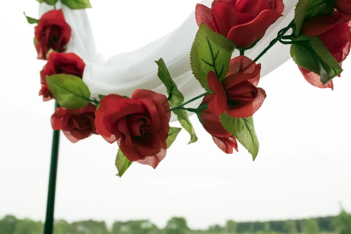 The Wedding Website of Ella Barr and Blake Carter