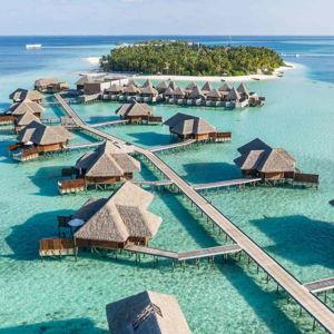 Go snorkeling in the Maldives