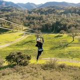 Margarita Adventures Zip Line Tour