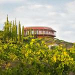 Falkner Winery & The Pinnacle Restaurant