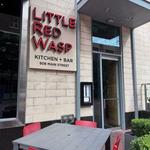 Little Red Wasp