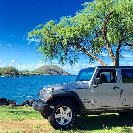 Car Rental