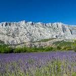 Montagne Sainte-Victoire