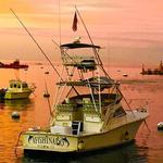 Afishinados Fishing Charter