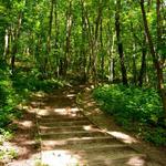 Kettle Moraine State Forest