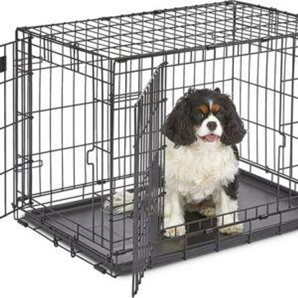 MIDWEST iCrate Fold & Carry Double Door Collapsible Wire Dog Crate, 30 inch - Chewy.com