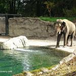 Oregon Zoo